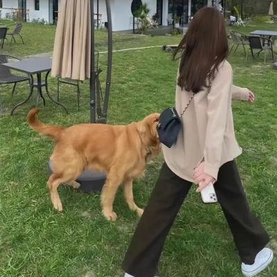 柏林夜总会:纳粹眼中钉